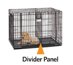 Midwest Ovation Double Door Dog Crates 42-inch divider